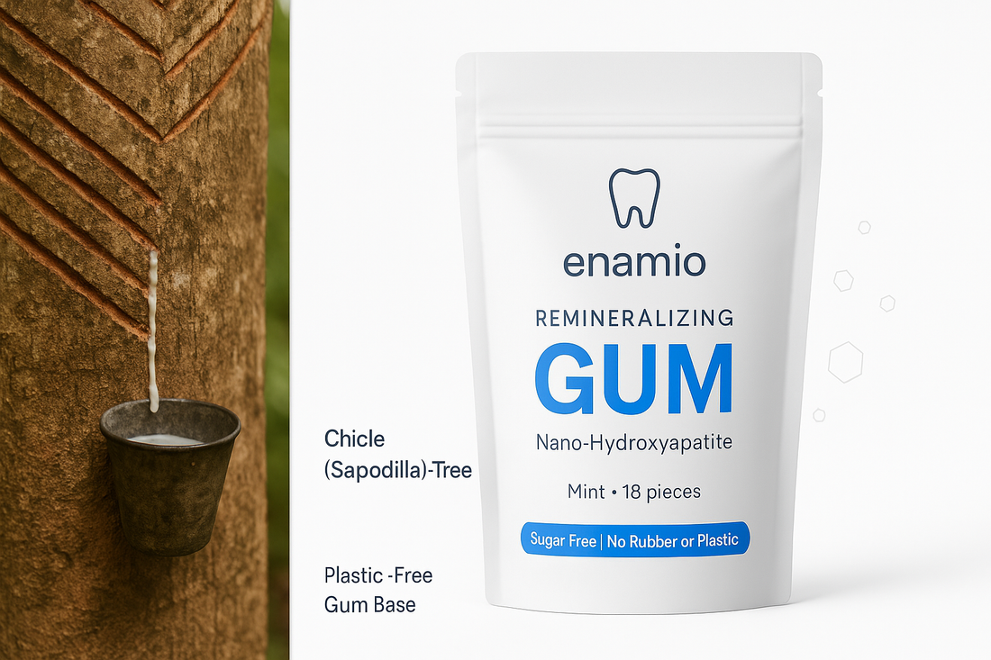 Chewing gum chicle tree â Enamio Remineralizing Gum in a plasticâfree chicle base with nanoâhydroxyapatite