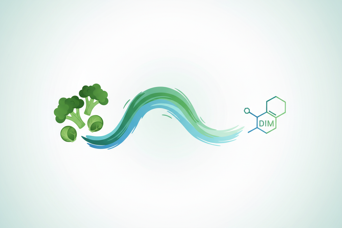 DIM Benefits in 2026: Diindolylmethane Explained