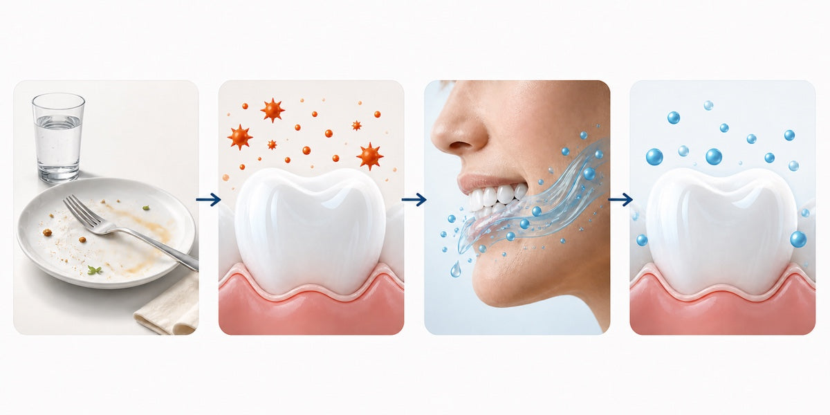 How chewing sugar-free gum stimulates saliva and helps buffer plaque acids after meals